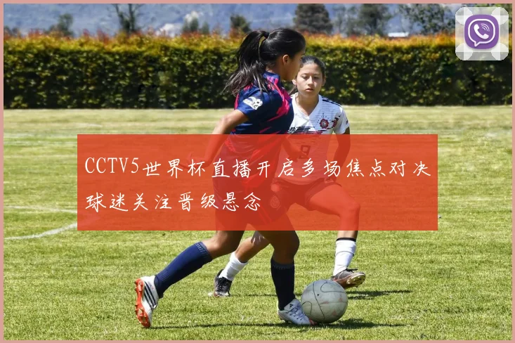 CCTV5世界杯直播开启多场焦点对决球迷关注晋级悬念