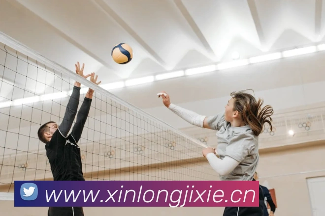 App Interface Preview